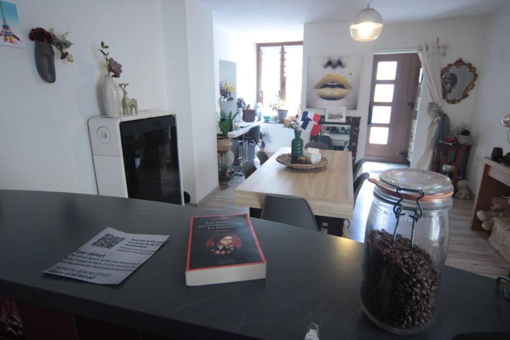 Appartement 90 M2 Vic-sur-Seille Exteriér fotografie