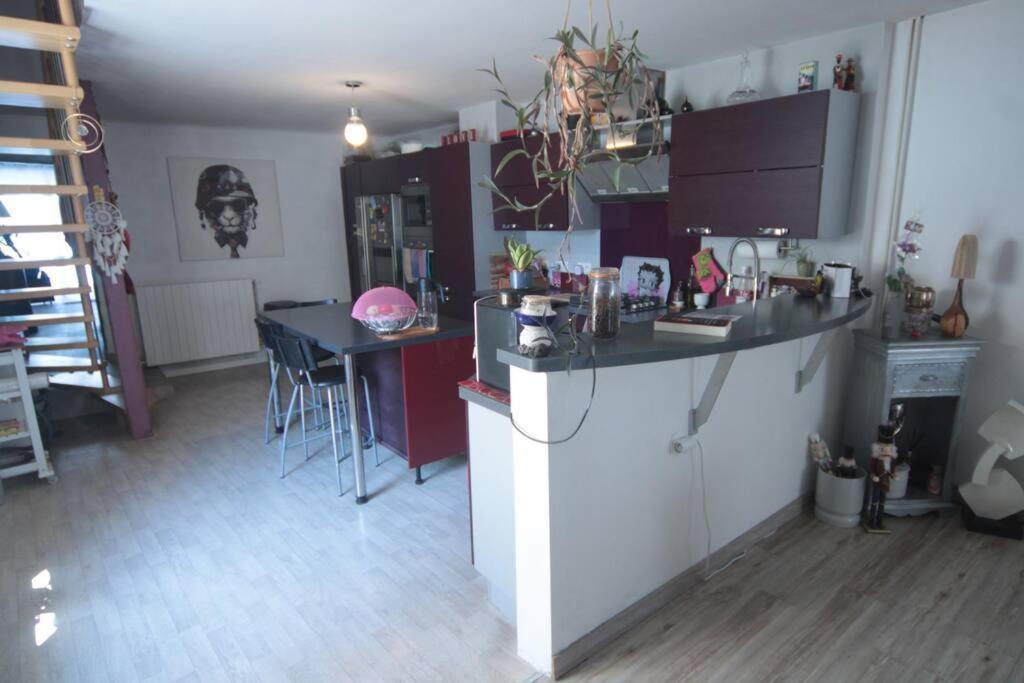 Appartement 90 M2 Vic-sur-Seille Exteriér fotografie