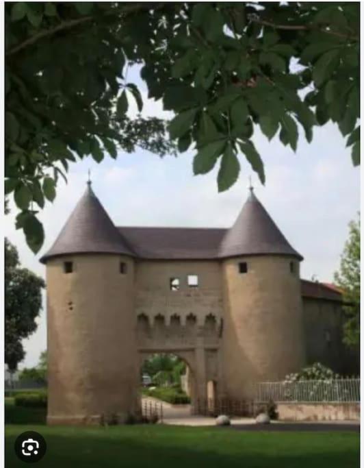 Appartement 90 M2 Vic-sur-Seille Exteriér fotografie